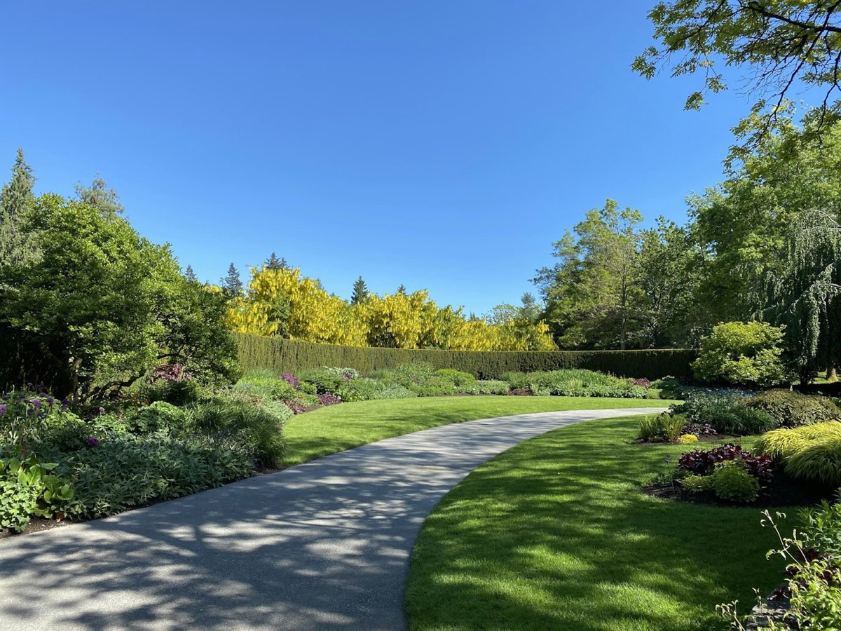 A lush, layered garden at golden hour
